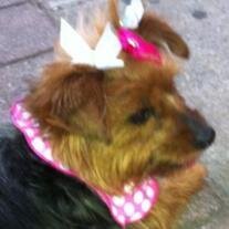 Brooklyn Minaj