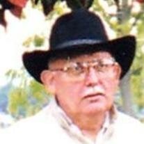 Mr. Ronald L.  Clark