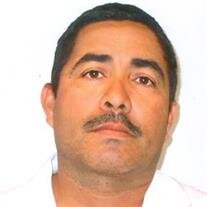 Mr. Hilmer Ernesto Giron George