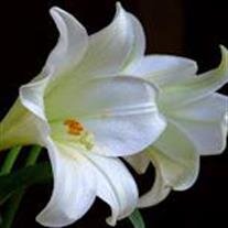 Gladys  Mae Matthews 