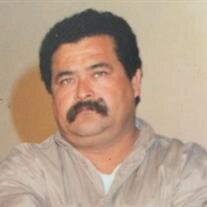 Guadalupe Martinez Mejia