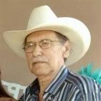 Guadalupe Peña