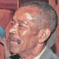 MR MICHAEL VAN WILLIAMS