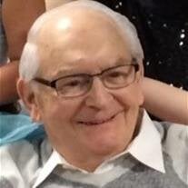 Mr. Carmen E. Guarnieri