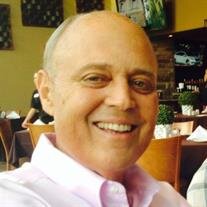Vincent D. Restivo