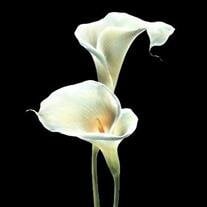Theresa Marie Schinderle