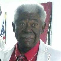 Rev.  William  M. Brown Jr. 