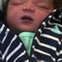 Dmitri Mario Wells