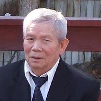 Quynh N. Mai