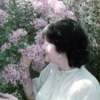 Cherrill Lee Stoppkotte