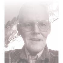 Dennis L Robins