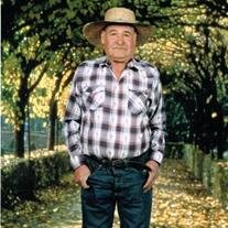 J Pastor Ruiz-Cervantes