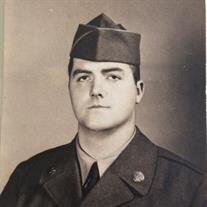William J Ryan