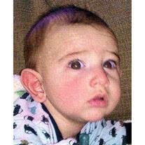 Joshua Michael Lippo