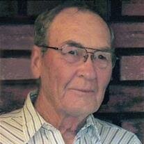 Leo Schritt