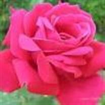 Frances  Marie  Jones 