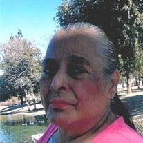 Mary Guadalupe Jimenez