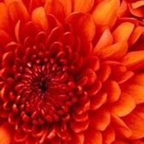 Dorothy Louise Fairchild,