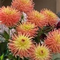 Elnora Williams Howard,