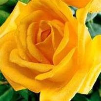 Christine Hutchison,