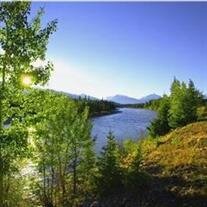 H.H. 'Hank' Berry, Jr.,