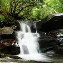 Donald B. Rakestraw,