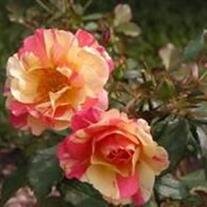 Elenor Fields Martin,