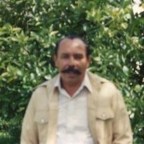 Mr. Boliva Melendez Perez