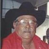 Narciso Ybarra
