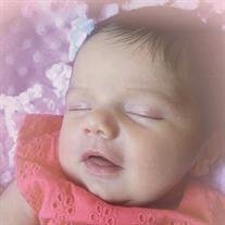 Nora Jean Lynn Krause