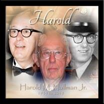 Harold M. Hallman Jr.