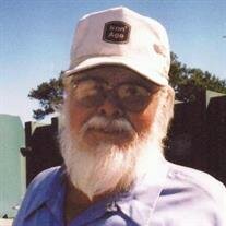 Charles Nathaniel  Hawkins Jr.
