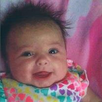 Willow Zielinski