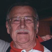 Mr. Roy James King Jr.