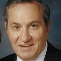 Mr. Frank  P. Castronova Sr.
