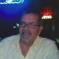 Mark J. Schaub