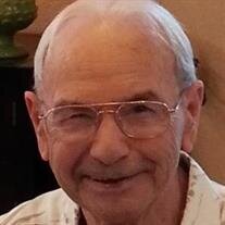 Mr. Raymond Louis Sobzak