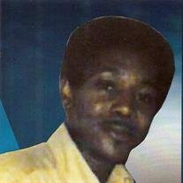 Mr. Sanford Lewis