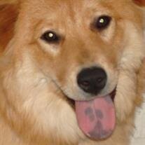 Rusty Paneque