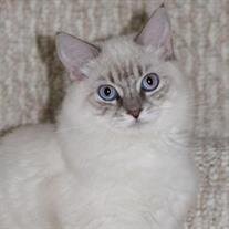 Maggie Jones