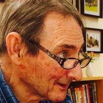 Mr. David  Alexander Adams