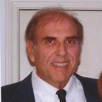 Mr. Michael L.  Radick of Bloomindale