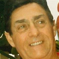 Peter V. Schioppa