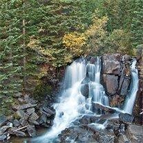 Terlin  Desravines