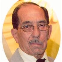 Pedro  Vega Figueroa