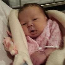 Aubree Lynn Alexander