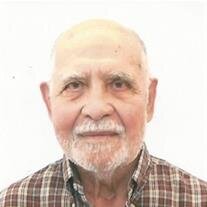 Vincent Dominic Campagna