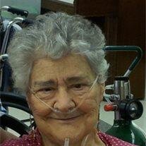 Patricia Ann Higgins