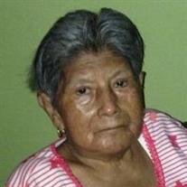 Hortencia Palomo