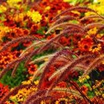 Mrs. Joyce V. Pearce Soucy